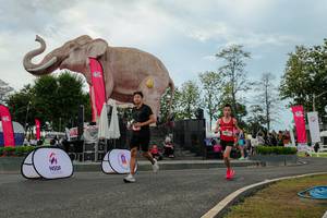 BIB: 
                            <button type="button" onclick="openModal(26528854)" class="btn btn-primary btn-sm float-right btn-popup" data-toggle="modal" data-target=".modal-high-quality">
                        <i class="fas fa-shopping-cart"></i> Add to Cart
                    </button>
                                            <button type="button" onclick="isThisMe(26528854, true)" class="btn btn-success btn-sm float-right btn-popup btn-isme hidden" data-toggle="tooltip" data-placement="bottom" title="นี่คือรูปของคุณใช่ไหม คลิกที่นี่เพื่อเอาเข้าอัลบั้ม">
                        <i class="fas fa-plus"></i> Add to album
                    </button>
                    <button type="button" onclick="isThisMe(26528854, false)" class="btn btn-warning btn-sm float-right btn-popup btn-isnotme hidden">
                        <i class="fas fa-ban"></i> Remove from album
                    </button>